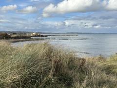 Amble